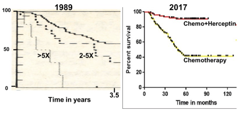 <p>Modern chemotherapy against HER2+ Cancers uses <strong>Herceptin</strong> in combination with other chemotherapy drugs greatly improved survival; 84% survival rate at 10 years; However, a full one-year course of Herceptin treatment costs around $54,000</p>