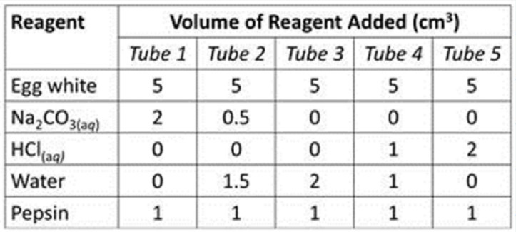 <p>Investigate how changing the pH affects enzyme activity</p><ol><li><p>Make the following mixtures in 5 different test tubes, each will have a different pH but has water to ensure that the volume is the same as well as egg white for protein testing</p></li><li><p>Find and record the pH of the test tubes</p></li><li><p>Place the tubes in a water bath of 36°C to reach optimum temperature</p></li><li><p>Start the stopwatch and add Pepsin and wait till the solution turns clear (has to have presence of HCL to make it acidic for the reaction to turn clear)</p></li></ol><p></p>