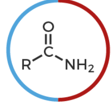 <p>What is this?</p>