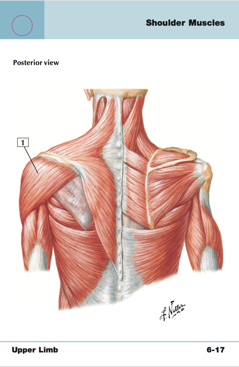 <p>+origin/insertion</p>
