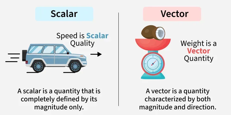 <p>A physical measurement of magnitude that shows how fast an object is moving. (Speed)</p>