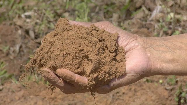 <p>Rich mud left behind by annual river flooding that makes desert soil fertile enough to farm.</p>