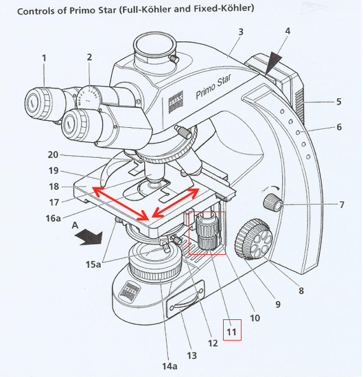 <p>What part of the microscope is this + what does it control?</p>