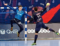 <p><span style="background-color: transparent;">het handbal</span></p>