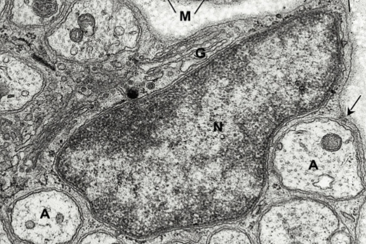 <p>What is this an image of?</p>