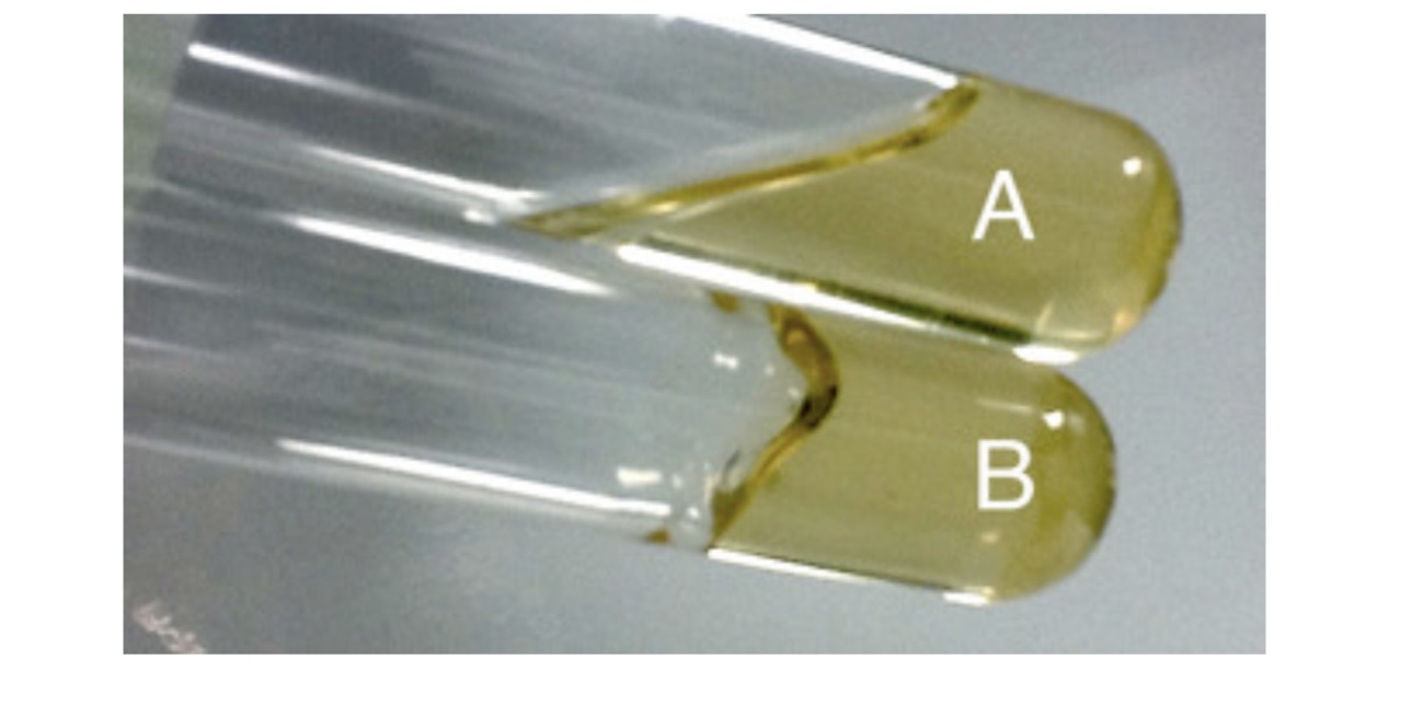 <p>A. What does the test shown here look for? </p><p>B. What does Test tube A indicate? </p><p>C. What does test tube B indicate? </p><p>D. A bacteria that can cause Tube A has what enzyme? This Enzyme means that the bacteria can do what? </p>