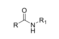 N has one R group attached to it
