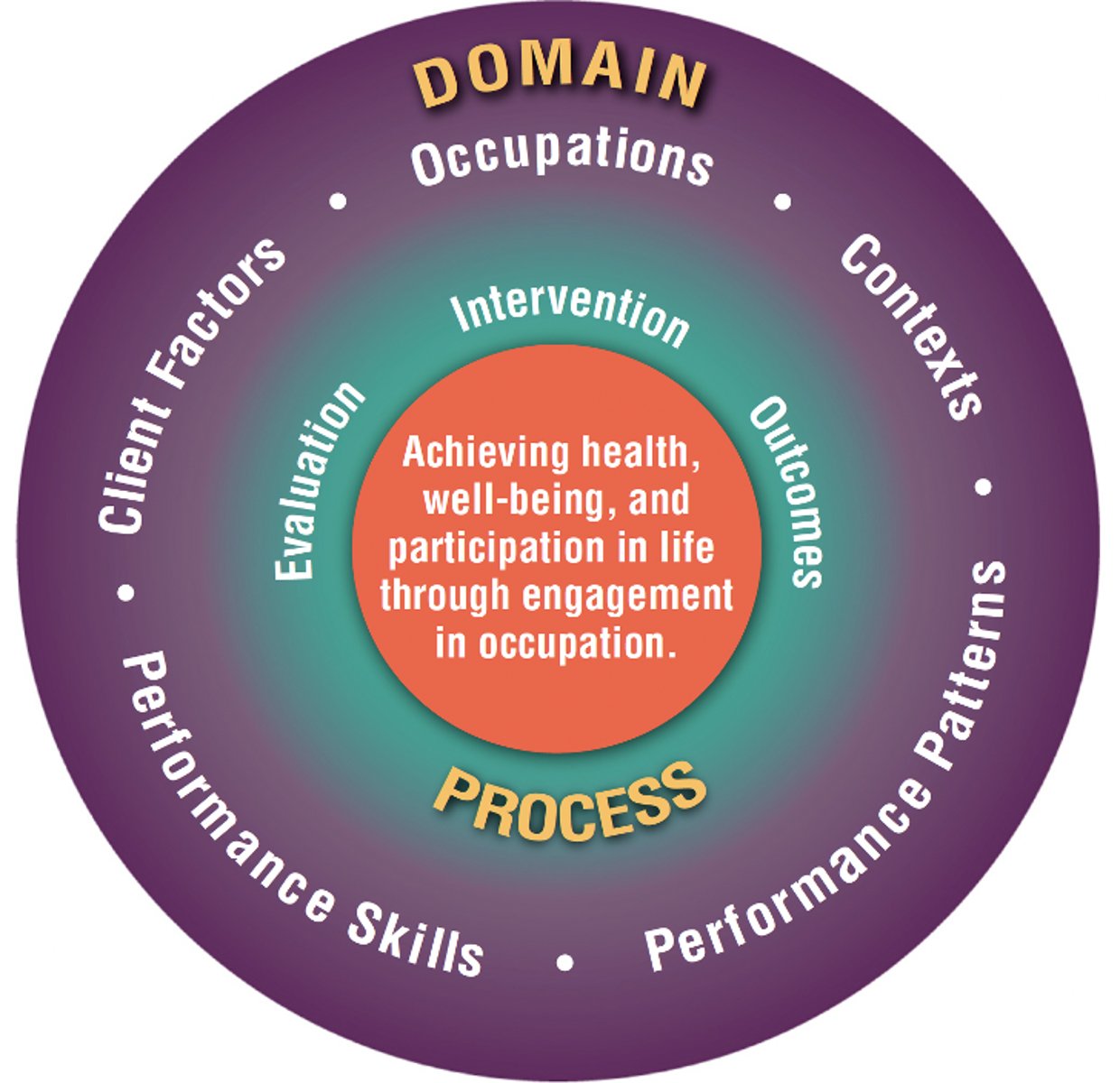 <p>occupations, contexts, performance patterns, performance skills, client factors</p>