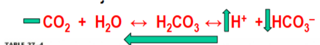 <p>caused by addition of other acids than CO2 or H2CO3 or removal of alkali (fixed PCO2). This can be caused by lowered urinary secretion of H+, ketoacidosis, lactic acidosis or HCO3- loss (as in severe diarrhea)</p>