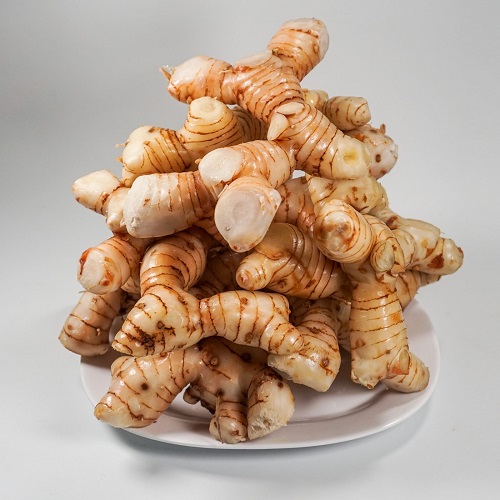 <p>Alpinia galanga (n0</p>