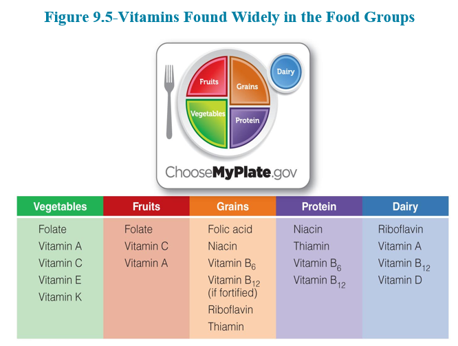 <p>What’s the Best Food Sources of Vitamins</p>