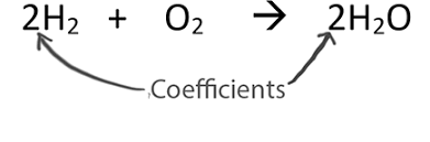 <p>Coefficient</p>