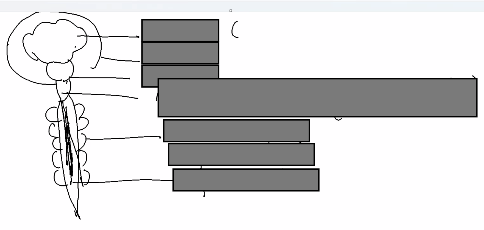 <p>Name the components in the vertebral column. </p>