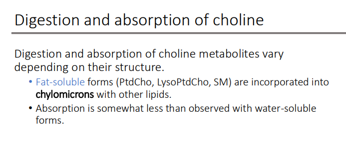 <p>water-soluble forms</p>