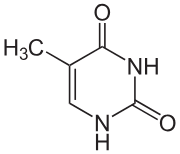 <p>What is this?</p>