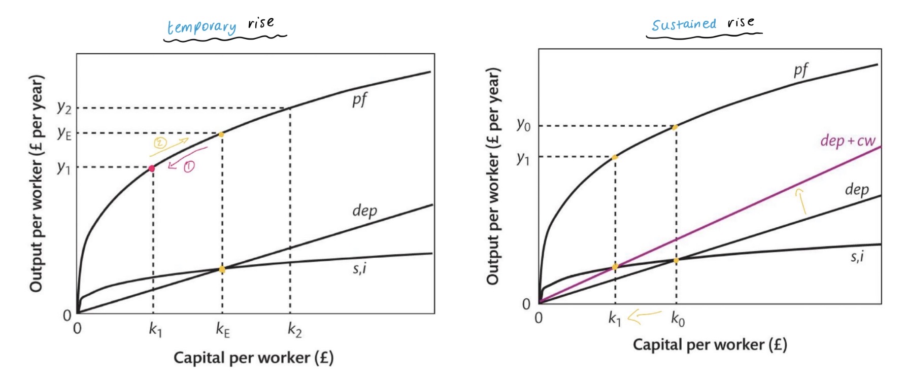 <ol><li><p><u>Temporary rise in population (shock to economy, one-off rise):</u></p></li></ol><ul><li><p><strong>Population change - e.g. sudden spike in birth rate, surge in immigration</strong></p></li><li><p><strong>Disequilibrium </strong>- initially capital per worker falls as L increases instantly but K only changes gradually through investment (k<sub>e</sub> to k<sub>1</sub>) so output per worker falls/productivity reduces (y<sub>e</sub> to y<sub>1</sub>)</p></li><li><p><strong>Capital widening</strong> - at k<sub>1</sub>, i > dep so capital begins to accumulate to keep up with labour increases, leading to more capital per worker</p></li><li><p><strong>Steady state </strong>- returns to equilibrium (k<sub>e</sub>, y<sub>e</sub>) and productivity is prevented from a sustained fall</p></li></ul><p></p><ol start="2"><li><p><u>Sustained growth in population:</u></p></li></ol><ul><li><p><strong>Population change</strong> - population continually rising</p></li><li><p><strong>Disequilibrium</strong> - (same description as above)</p></li><li><p><strong>Line swivels</strong> - therefore, as population continually rising, capital widening will become constant to keep up extra capital for increasing labour force, so dep line will swivel upwards, to make dep + cw (necessary to allow dep + cw to maintain any given level of capital per worker)</p></li><li><p><strong>New equilibrium </strong>- where i = dep + cw, so y will be permanently lower (at y<sub>1</sub>) so productivity will fall <em>(doesn’t necessarily mean GDP will fall)</em></p></li></ul><p></p>
