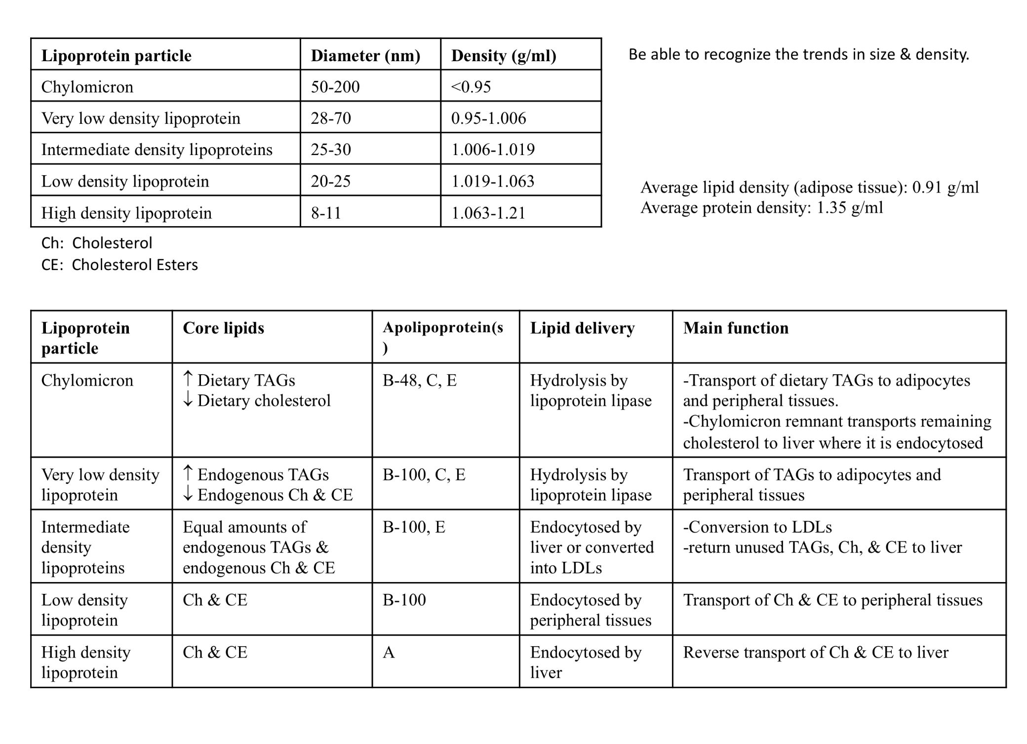 <p>5 major types which differ in size, density, and contents</p><p>From largest/lowest density: Chylomicron, VLDL, IDL, LDL, HDL</p>