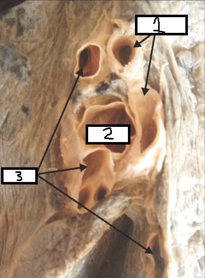 <p>2</p>