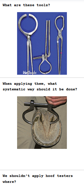 <p><span><strong>Hoof Tester Application &amp; Percussion</strong></span></p>