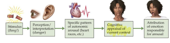<p>cognitive appraisal</p>