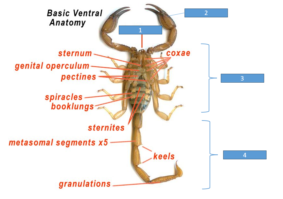 <p>1</p>