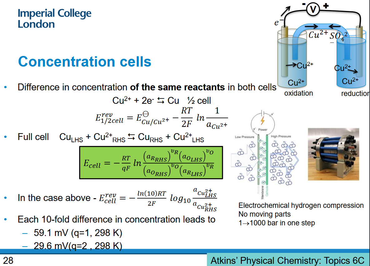 <p>Same reactants, different concentrations</p>