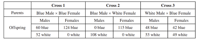 <p><span>The data above represent the results of three different crosses involving the inheritance of a gene that determines whether a certain organism is blue or white. Which of the following best explains the mechanism of inheritance of the gene?</span></p><p>A) The allele for white is an autosomal dominant allele because a phenotype ratio of blue to white among both sexes is observed in cross 3.</p><p>B) The allele for blue is an autosomal dominant allele because an approximate phenotype ratio of blue to white is observed in cross 1.</p><p>C) The allele for white is an X-linked dominant allele because no white females are produced in cross 1.</p><p>D) The allele for blue is an X-linked dominant allele because there are no blue male offspring in cross 2.</p>