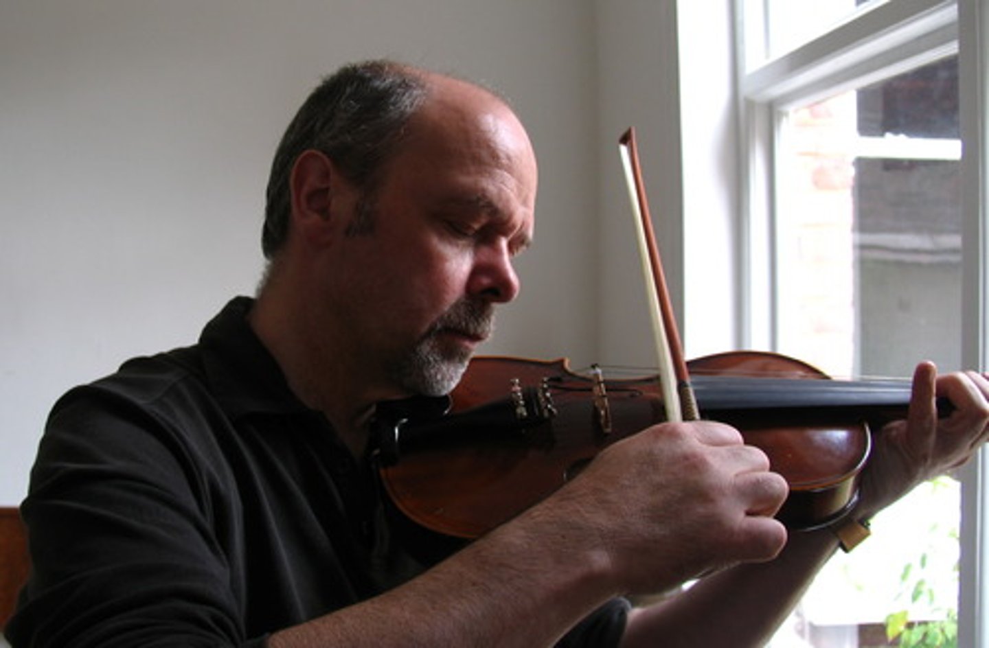 <p>un violon (2x)</p>
