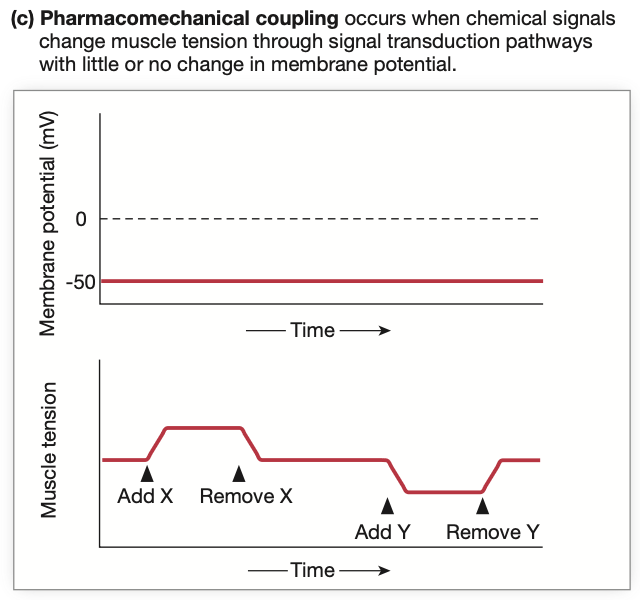 <p>Smooth muscle contraction occurs <strong>WITHOUT</strong> <mark data-color="purple" style="background-color: purple; color: inherit;">membrane potential changes</mark>.</p><ul><li><p><mark data-color="green" style="background-color: green; color: inherit;">Pharmacomechanical</mark> regulation allows <em><u><mark data-color="purple" style="background-color: purple; color: inherit;">contraction AND relaxation</mark></u></em></p></li></ul><p></p>