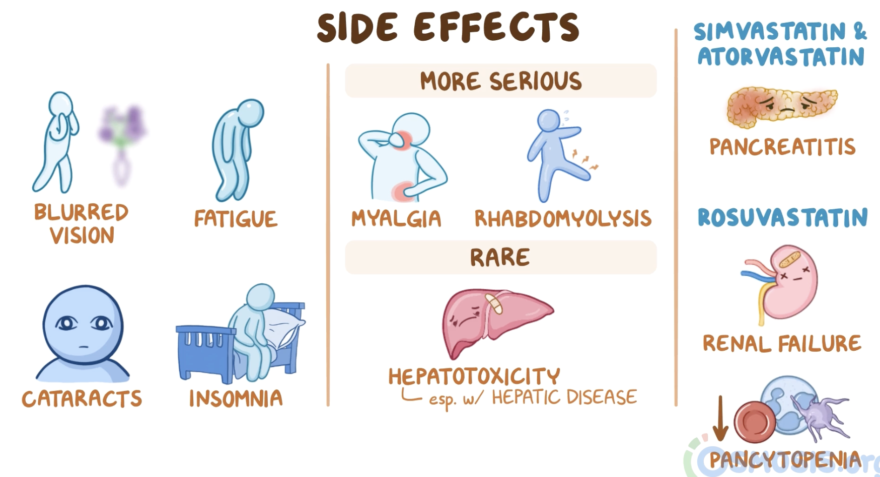<ul><li><p>GI effects</p></li><li><p>CNS effects</p></li><li><p>Hepatotoxicity</p></li><li><p><strong>Rhabdomyolysis</strong></p></li></ul><p></p>