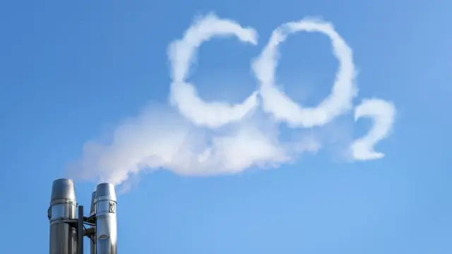 <p>Plants get carbon (CO2) from</p>