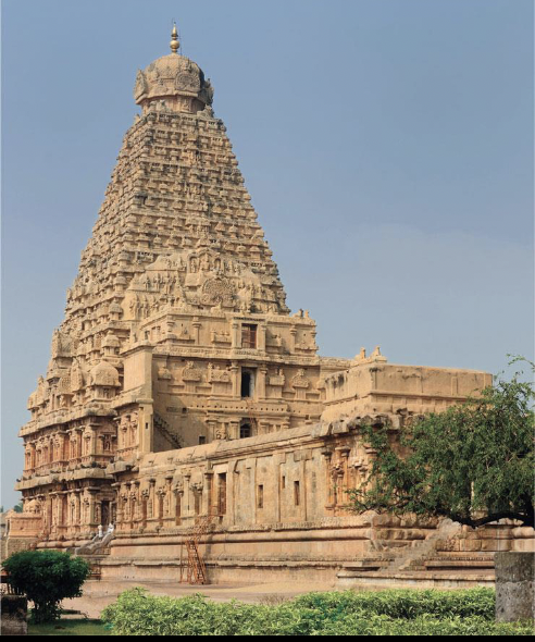 <p>Northern or southern</p>