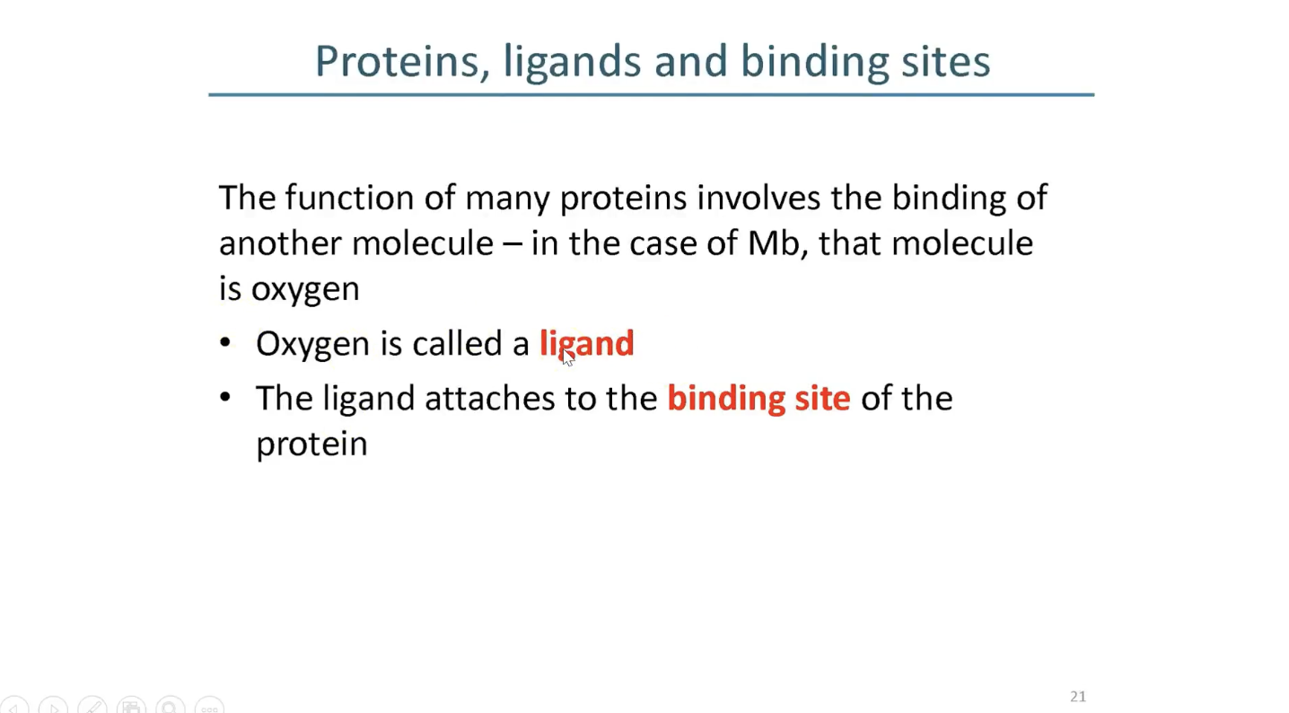 <p>O2 is the ligand</p>