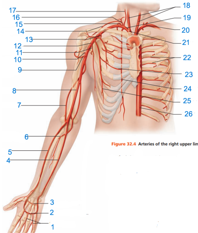 What is #8?