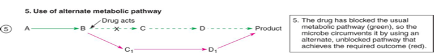 <p>the target metabolic pathway is shut down or an alternative is used</p><ul><li><p>due to a mutation </p></li></ul><p></p>