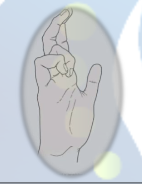 <p>Bishop hand or benedictions</p>