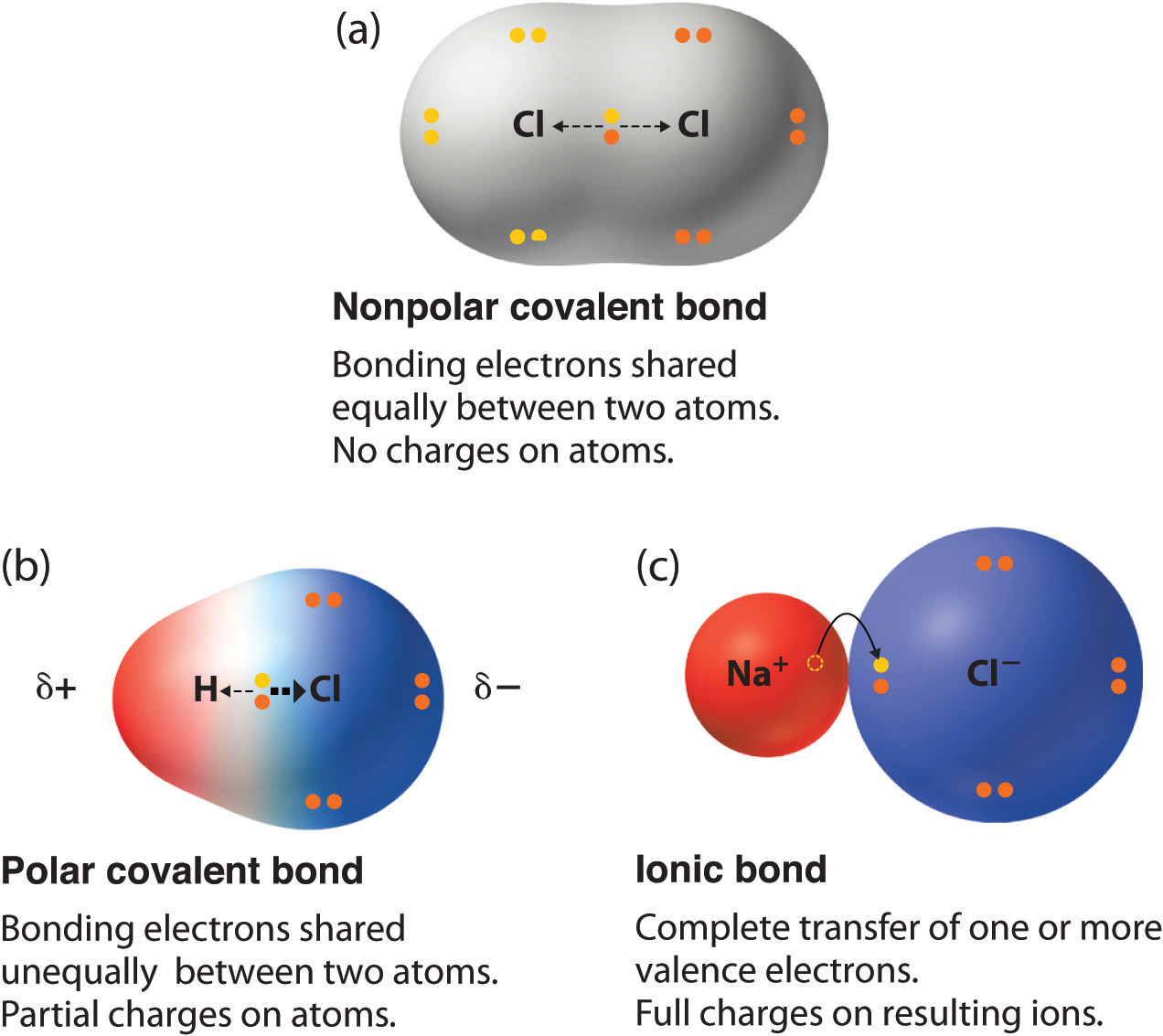 <p>In what way are polar and nonpolar covalent bonds similar? </p><p>In what way are polar and nonpolar covalent bonds different?</p>