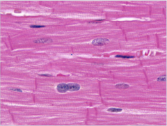 <p>Identify</p>