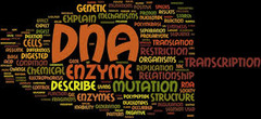 <p>A branch of biology concerned with the study of heredity and variation.</p>