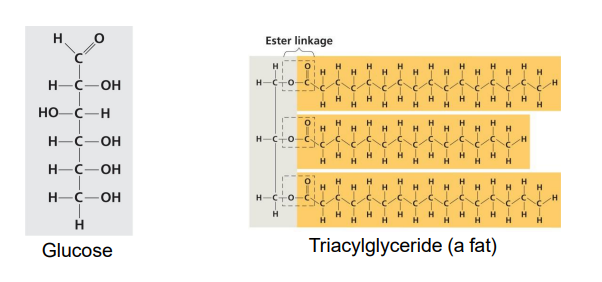<p>Does a gram of sugar or a gram of fat have more potential energy to be released through redox reactions?</p>