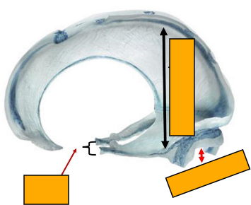 <p>Label this image </p>