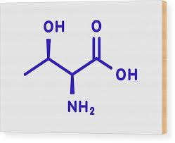 <p>Thr</p><p>T</p><p>polar</p><p>essential </p>