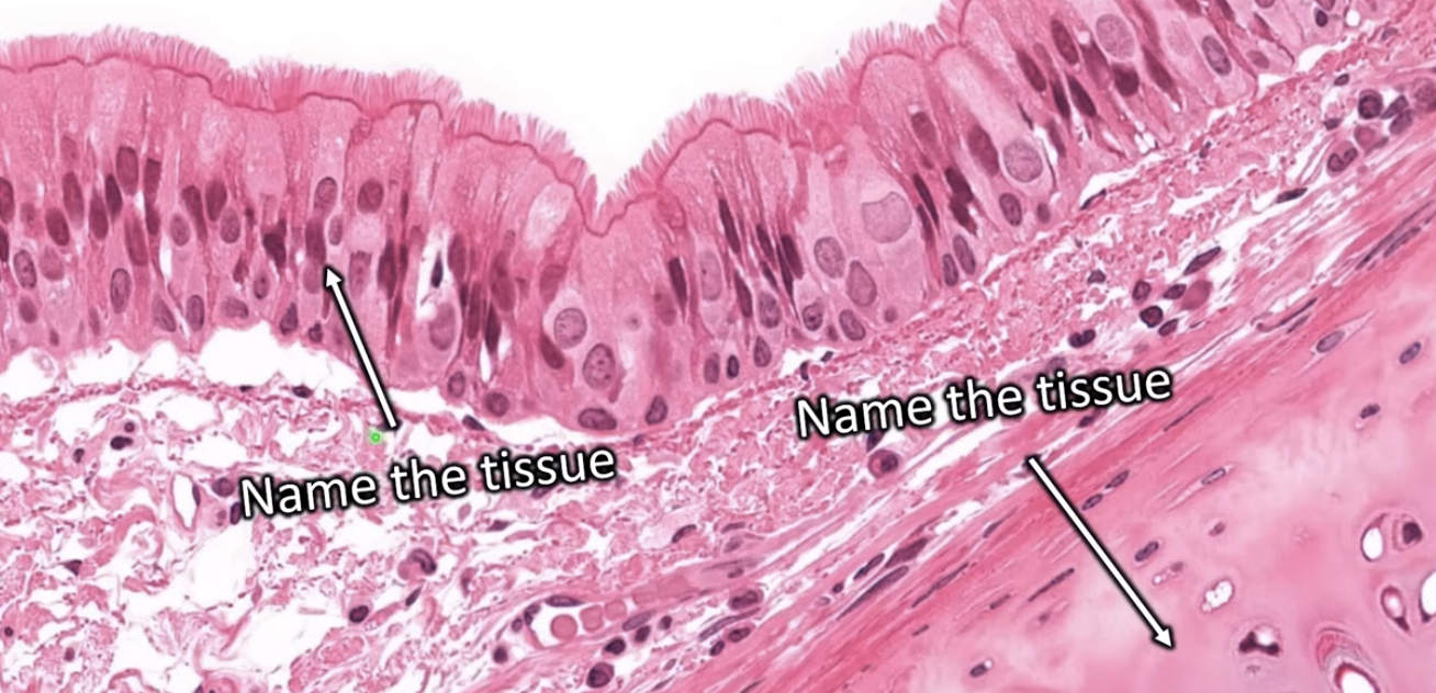 <p>what is this?</p>