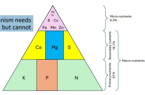<p>What are nutrients?</p>