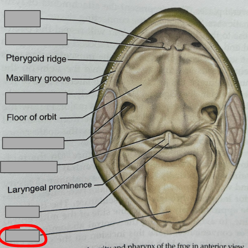<p>What part of the organism is this?</p>