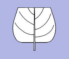 <p>Base appearing cut off squarely.</p>