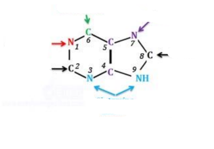 <p>Where do the black Carbons come from?</p>