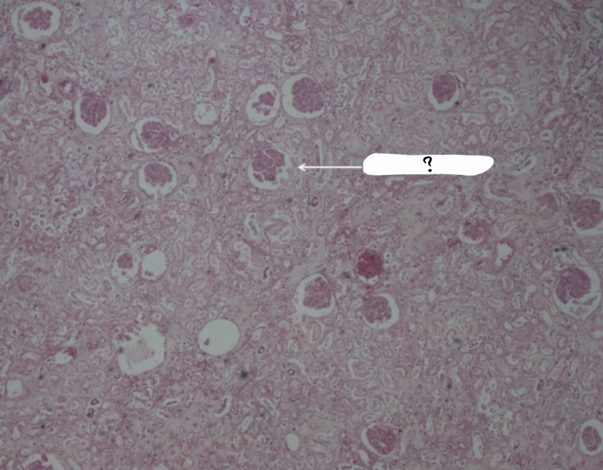 <p>what is this a sample of?</p>