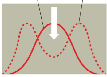 <p>What is Disruptive selection?</p>