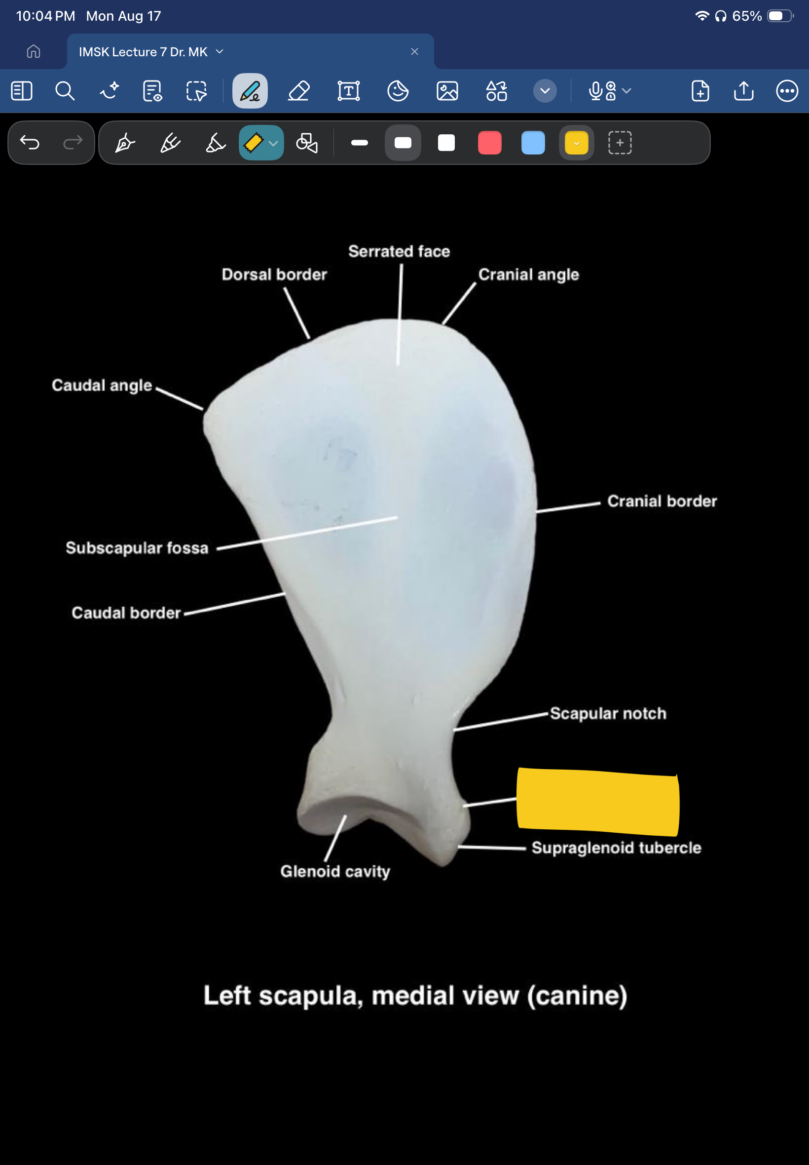 term image